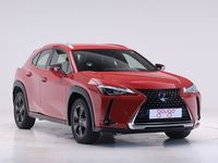 usado Lexus UX 250h BUSINESS AUTO 2.0 184 5P