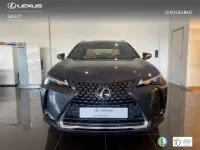 Usado Lexus UX 300h 199 CV (146 kW) 2026 Gris SUV