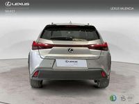Usado Lexus UX 2025 Gris SUV