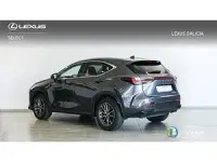 Usado Lexus NX350h Executive Line 244 CV (179 kW) 2022 Gris Familiar