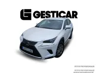 Usado Lexus NX300h Business Edition 197 CV (144 kW) 2019 SUV