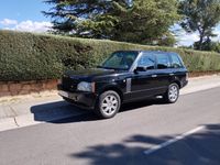 usado Land Rover Range Rover 2007