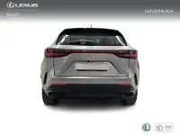 Usado Lexus NX350h Business Edition 242 CV (177 kW) 2022 Gris SUV