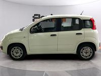 Usado Fiat Panda 71 HP (52 kW) 2022 Branco Citadino