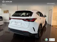 Usado Lexus NX350h 242 CV (177 kW) 2025 Blanco SUV