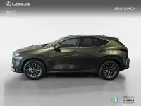 Nuevo Lexus NX450h+ 292 CV (214 kW) 2026 Verde SUV