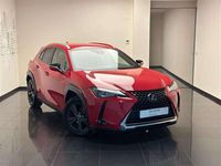 usado Lexus UX 250h Business 2WD