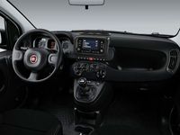 usado Fiat Panda 1.0 Gse City Live Hybrid