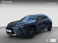Usado Lexus UX Business Edition 184 CV (135 kW) 2022 Gris / plata SUV