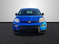 Nuevo Fiat Panda Pop 69 CV (50 kW) 2025 Azul Utilitario