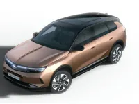 Nuevo Opel Grandland X S 146 CV (107 kW) 2025 Dorado SUV