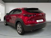 Usado Mazda CX-30 Homura-Line 151 CV (111 kW) 2024 Rojo SUV