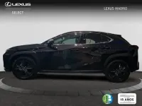 Nuevo Lexus UX 198 CV (145 kW) 2026 Gris SUV