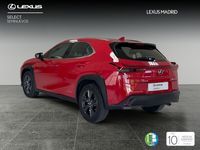 Usado Lexus UX Business Edition 184 CV (135 kW) 2020 Rojo SUV