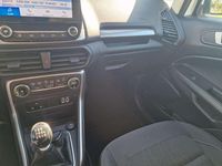 Usado Ford Ecosport Trend 99 CV (72 kW) 2020 Blanco SUV