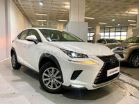 Usado Lexus NX300h Business Edition 197 CV (144 kW) 2019 Blanco SUV