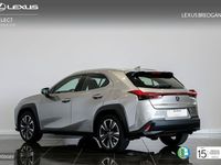 Usado Lexus UX 250h Executive Line 184 CV (135 kW) 2020 Plateado SUV