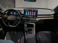 Usado Cupra Terramar 150 CV (110 kW) 2024 Azul SUV