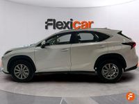 Usado Lexus NX300h Business Edition 197 CV (144 kW) 2019 Blanco SUV