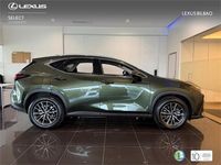 Usado Lexus NX450h+ 309 CV (227 kW) 2025 Verde SUV