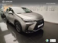 Usado Lexus NX350h Business Edition 242 CV (177 kW) 2023 Gris / plata SUV
