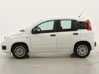 Usado Fiat Panda Easy 69 CV (50 kW) 2019 Utilitario
