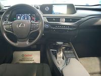 usado Lexus UX 250h Business Navigation 2WD