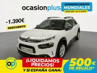 Usado Citroën C4 Cactus Feel 99 CV (72 kW) 2019 Blanco Utilitario
