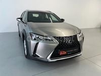 Usado Lexus UX Business Edition 184 CV (135 kW) 2022 Gris / plata SUV