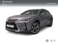 Usado Lexus UX 250h 184 CV (135 kW) 2022 Gris SUV