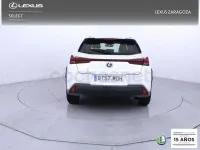 Usado Lexus UX Business Edition 184 CV (135 kW) 2023 Blanco SUV