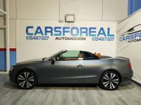 Usado Audi A5 Cabriolet Advanced Plus 170 CV (125 kW) 2014 Gris Descapotable