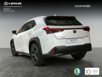 Imagen 2