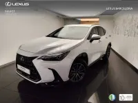 Usado Lexus NX350h Executive Line 244 CV (179 kW) 2022 Blanco SUV