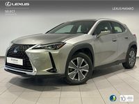 Usado Lexus UX 300e Business Edition 150 kW (204 CV) 2021 Gris SUV
