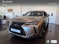 Usado Lexus UX 250h Business Edition 184 CV (135 kW) 2022 Plateado SUV