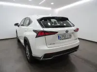 Usado Lexus NX300h Business Edition 197 CV (144 kW) 2019 Blanco SUV