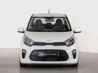 Usado Kia Picanto 67 CV (49 kW) 2024 Blanco Utilitario