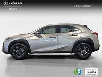 Usado Lexus UX Business Edition 183 CV (134 kW) 2019 Gris SUV