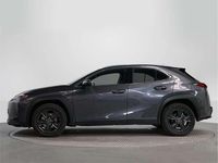 Usado Lexus UX 250h 184 CV (135 kW) 2023 SUV