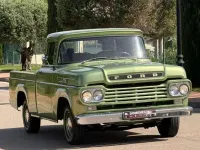 Usado Ford F100 159 CV (116 kW) 1959 Verde Pickup/Camioneta