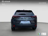 Usado Lexus UX Business Edition 184 CV (135 kW) 2022 Gris / plata SUV