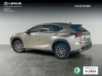 Usado Lexus NX300h Business Edition 197 CV (144 kW) 2020 Gris SUV