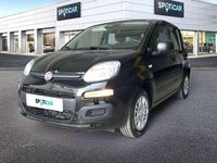 Nuevo Fiat Panda Icon 71 CV (52 kW) 2025 Negro Utilitario