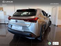 Usado Lexus UX Business Edition 184 CV (135 kW) 2019 Gris / plata SUV