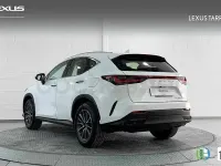 Usado Lexus NX350h 197 CV (144 kW) 2026 Blanco SUV