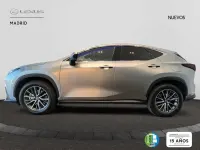 Nuevo Lexus NX450h+ 306 CV (225 kW) 2025 Gris SUV