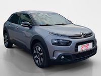 Usado Citroën C4 Cactus Shine 99 CV (72 kW) 2019 Utilitario