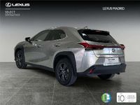 Usado Lexus UX 2024 SUV