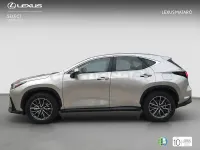 Nuevo Lexus NX350h 197 CV (144 kW) 2025 Gris / plata SUV